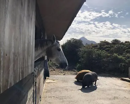 בית נופש Heatherhill Farm In Beside Connemara National Park לטרפראק