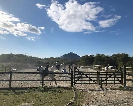 Heatherhill Farm In Beside Connemara National Park לטרפראק