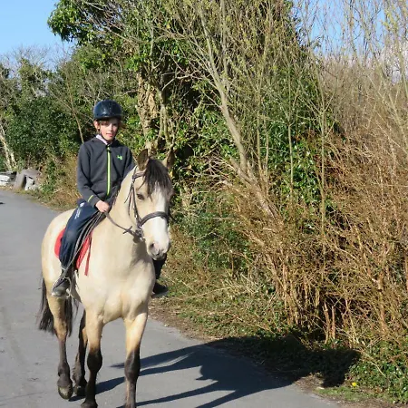 Heatherhill Farm In Beside Connemara National Park