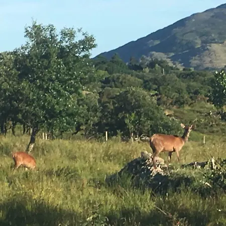 بيت للعطل Heatherhill Farm In Beside Connemara National Park ليترفراك
